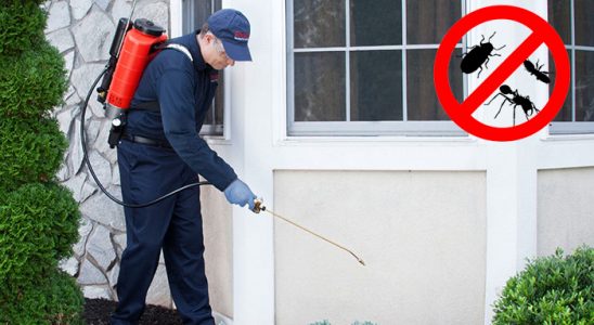 Halkapınar Kene İlaçlama böcek ilaçlama ve haşere kontrolü — ilaclama-tr.com
